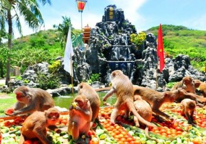  ĐẢO HOA LAN  - ĐẢO KHỈ